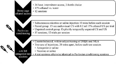 β2* nicotinic acetylcholine receptor subtypes mediate nicotine-induced enhancement of Pavlovian conditioned responding to an alcohol cue